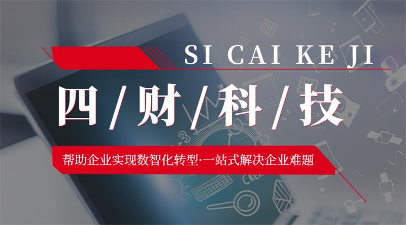 成都四財科技，助力企業(yè)實現(xiàn)數(shù)智化轉型
